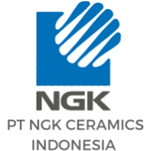 ngk ceramics